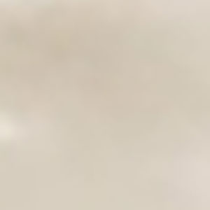 Fancy Grub 081 Pearl