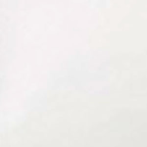 Morio ФОРЕЛЬ (Cheese) 009 White